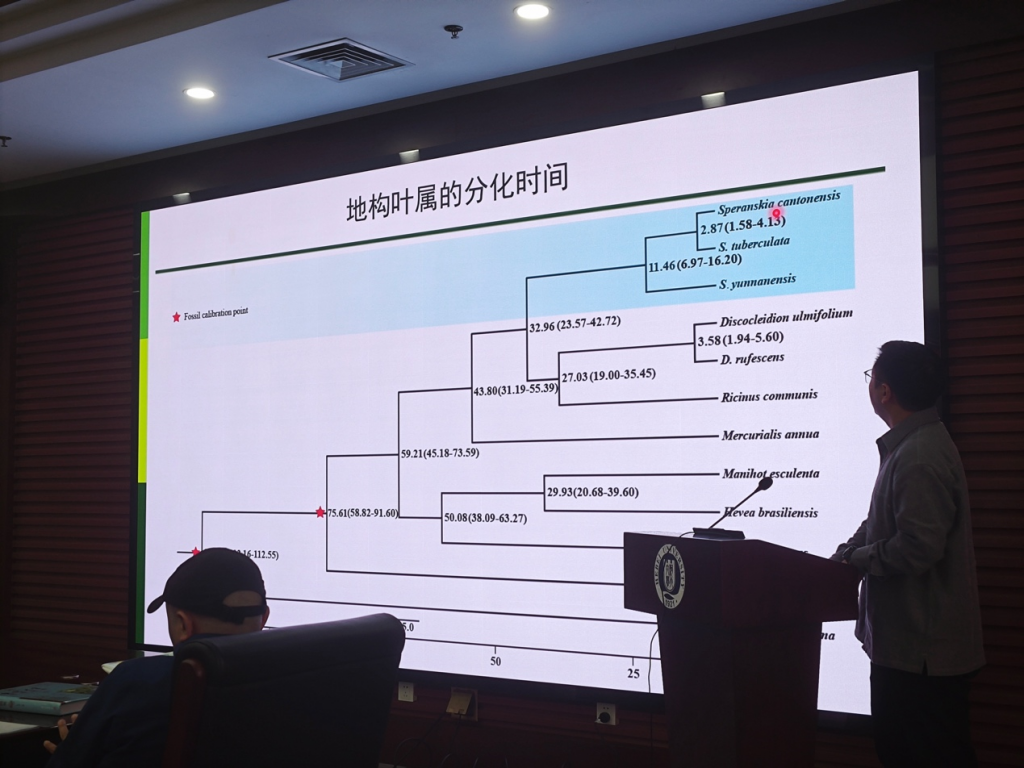 十大手机赌博网站大全