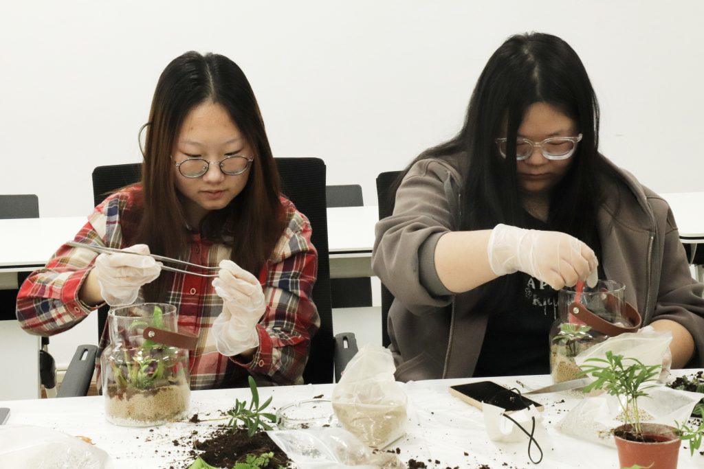十大手机赌博网站大全