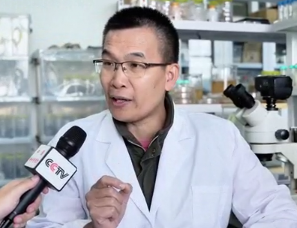 十大手机赌博网站大全