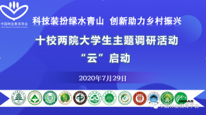 十大手机赌博网站大全