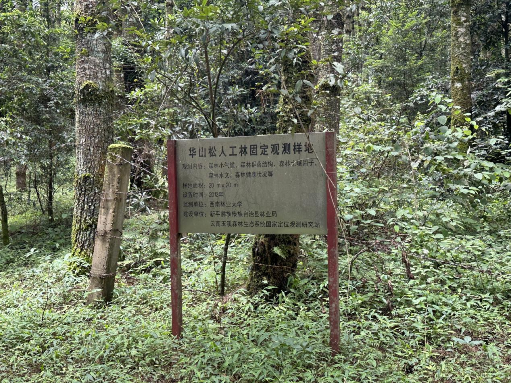 十大手机赌博网站大全
