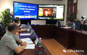 十大手机赌博网站大全
