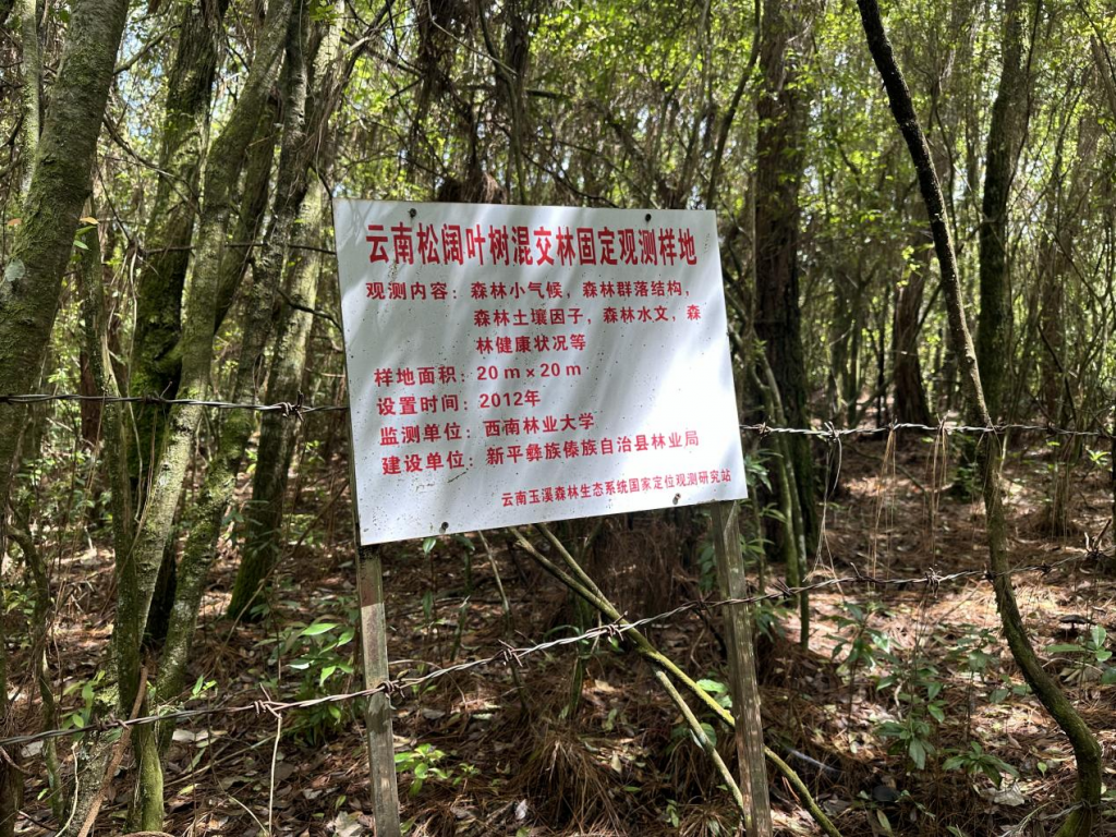 十大手机赌博网站大全