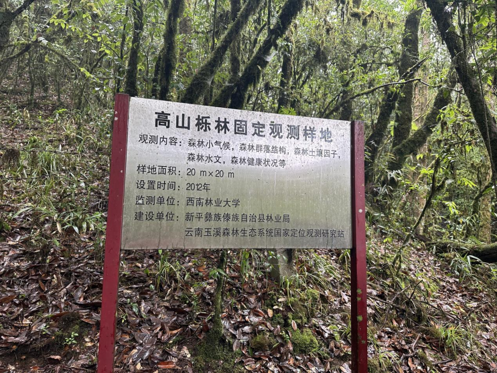 十大手机赌博网站大全