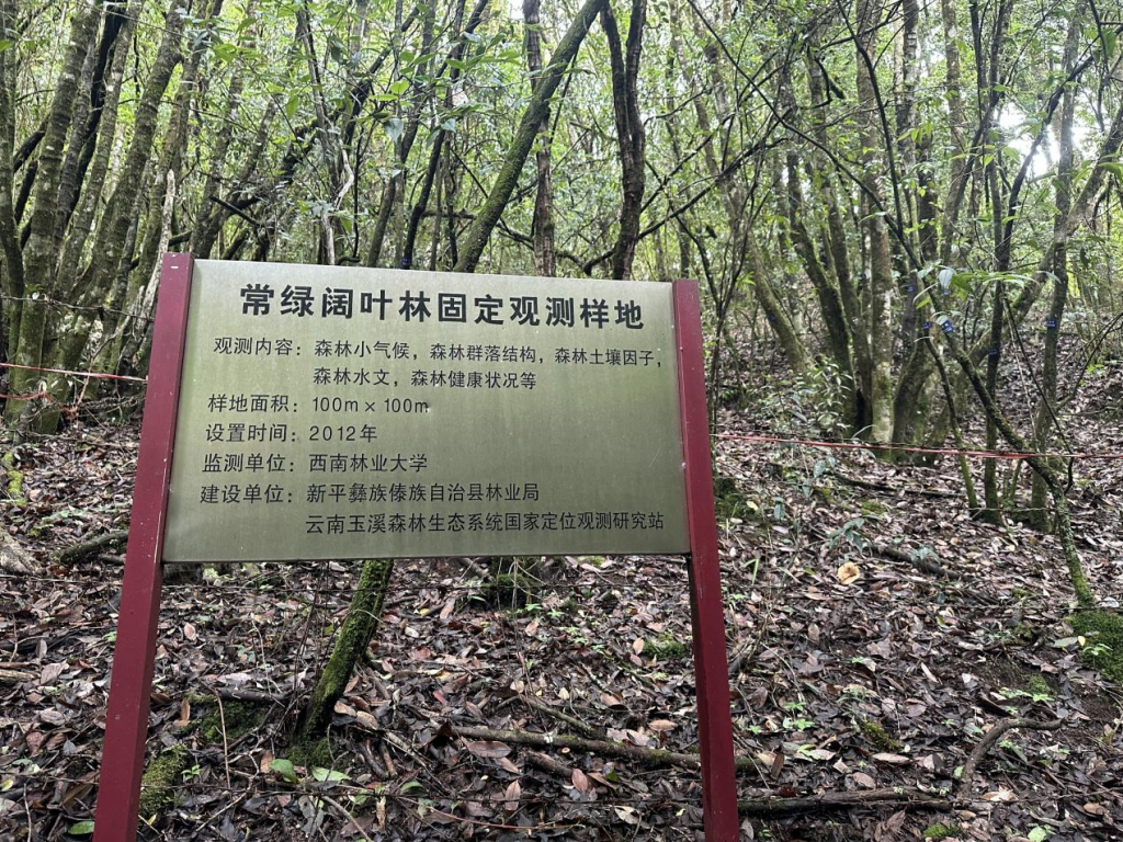 十大手机赌博网站大全