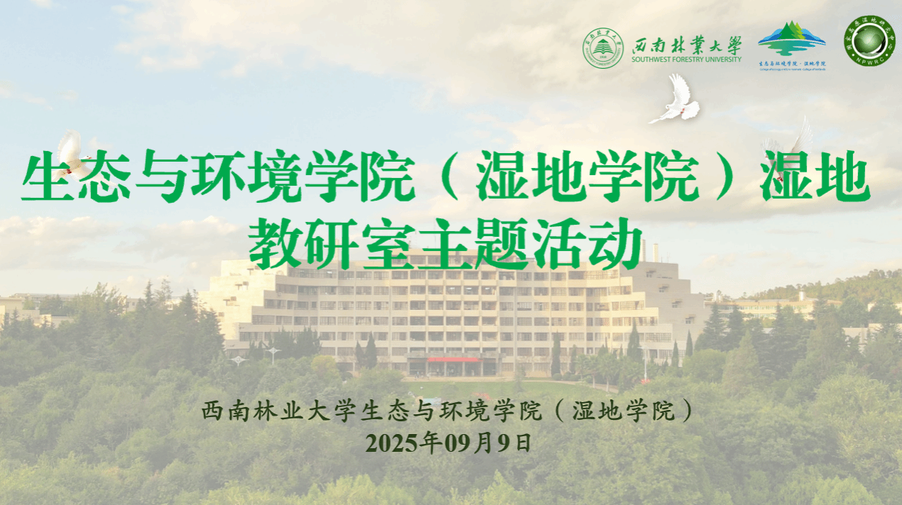 十大手机赌博网站大全