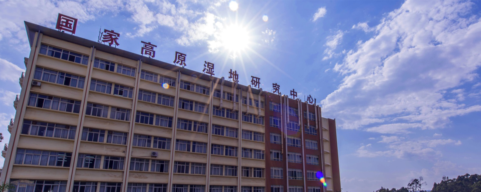 十大手机赌博网站大全